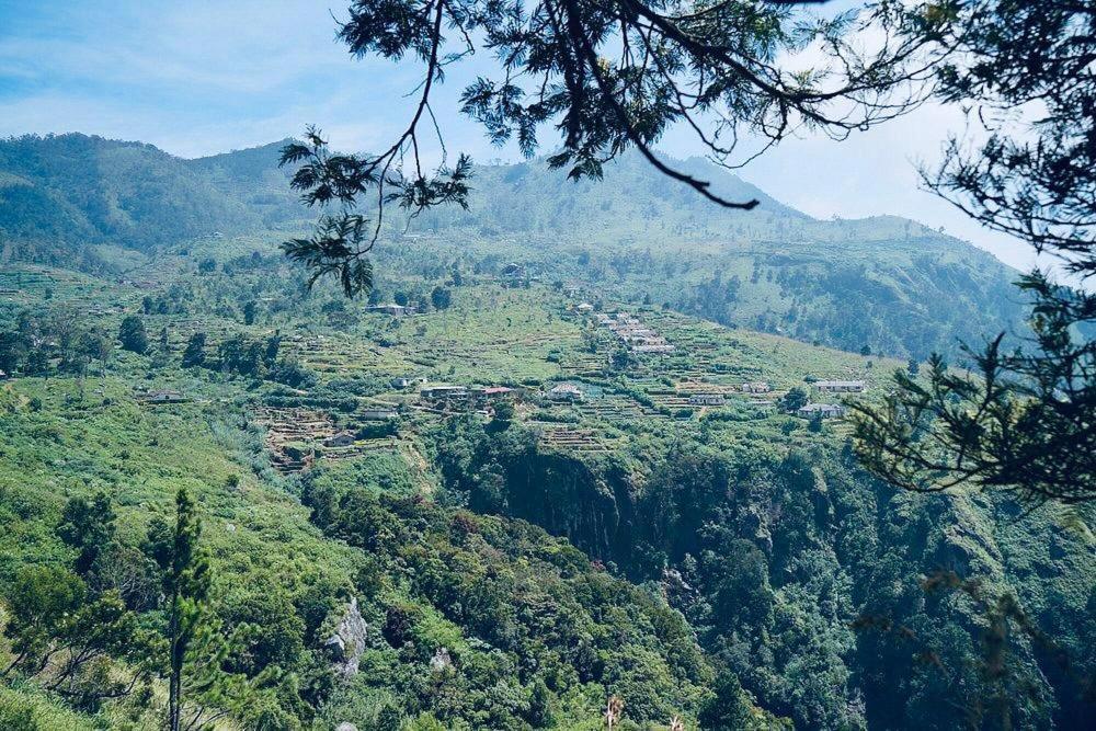 Misty Mountain Lodge Ohiya Exterior foto